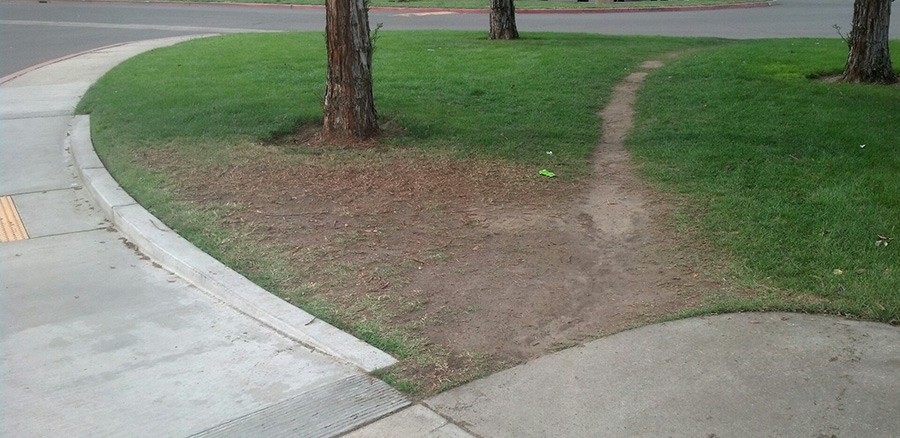 Pequeño atajo en un parque